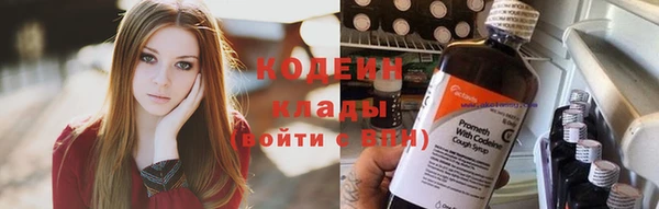 дмт Алзамай