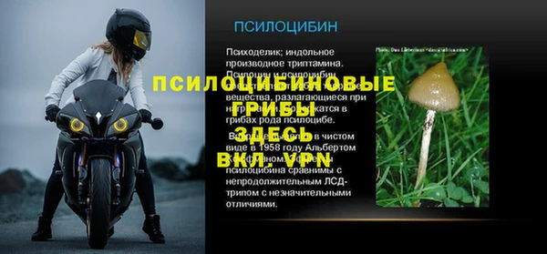тгк Алексин